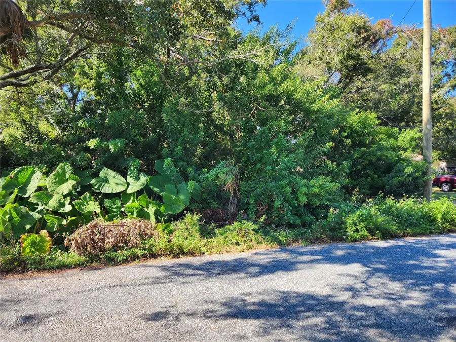 00 Atis Street #Lot9, New Port Richey, FL 34653 - Image #2