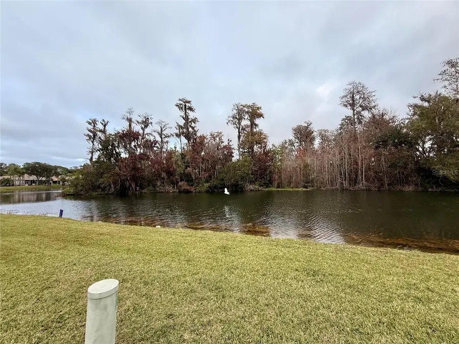 12026 Boynton Lane, New Port Richey, FL 34654 - Image #2