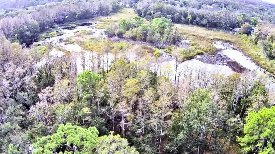 9867 Jerome Drive, New Port Richey, FL 34654 - Image #3