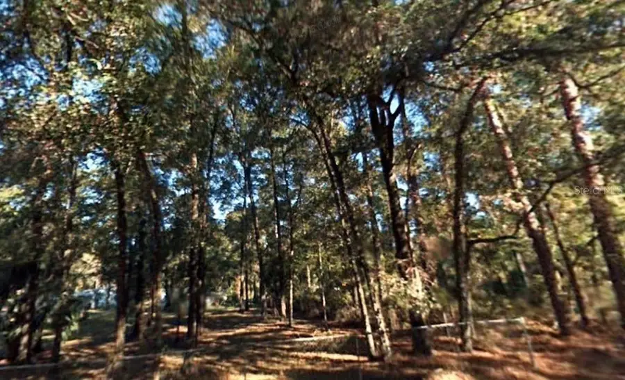 5 SW 2nd Place, Ocala, FL 34481 - Image #3