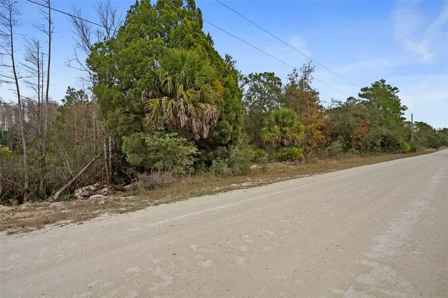 10021 Yellowback Road, Weeki Wachee, FL 34614 - Image #3