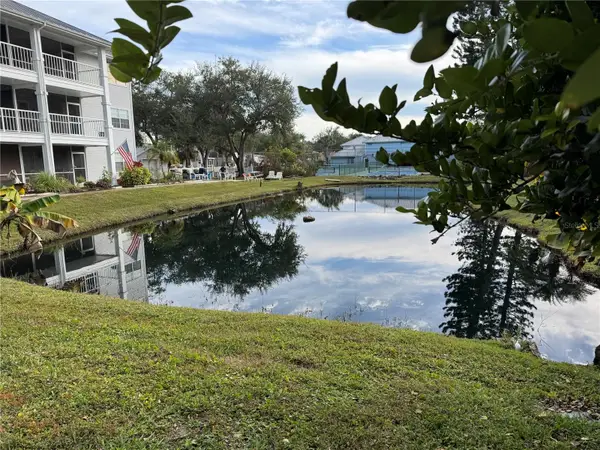 2210 Vista Del Sol Circle #503, LUTZ, FL 33558