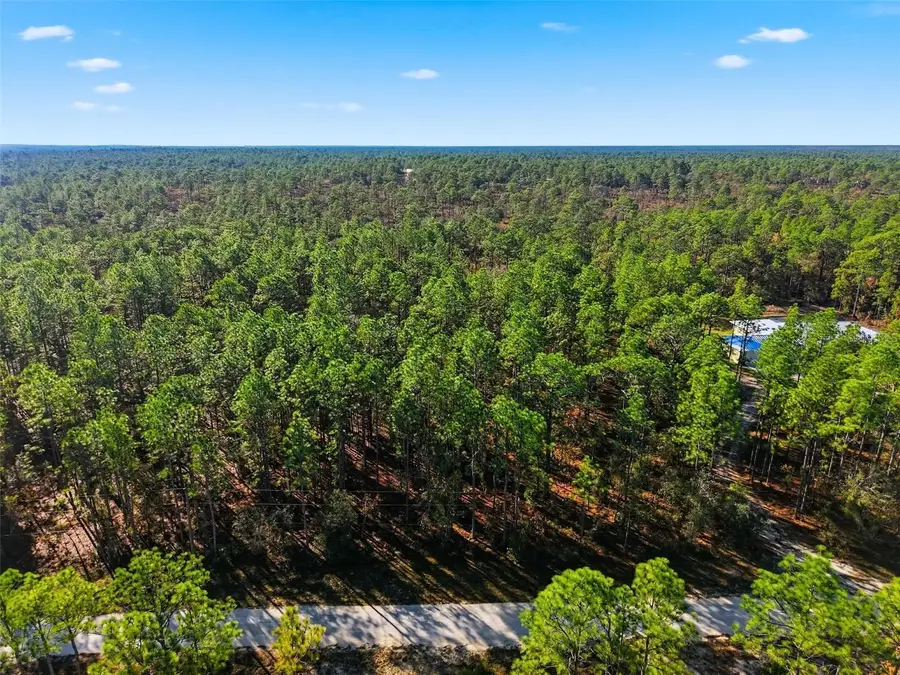 Raschke Run, Weeki Wachee, FL 34614 - Image #2