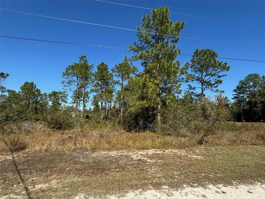 Lot 16 Calypso Avenue, Brooksville, FL 34614 - Image #2