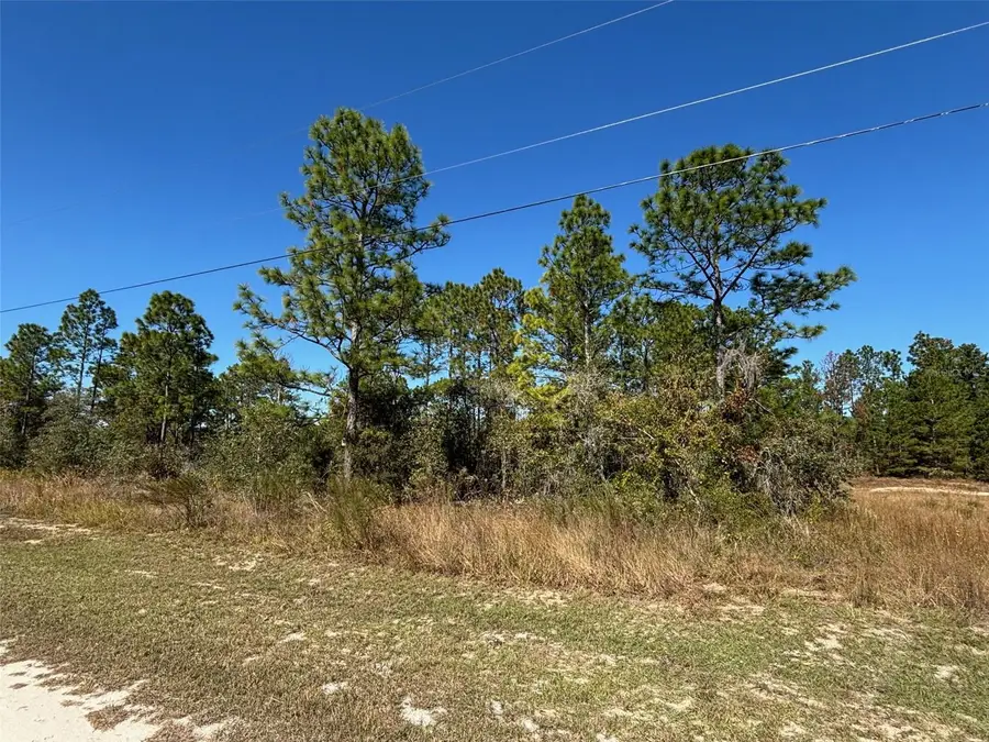 Lot 16 Calypso Avenue, Brooksville, FL 34614 - Image #3