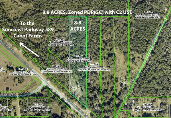 17338 Ponce De Leon Boulevard, BROOKSVILLE, FL 34614