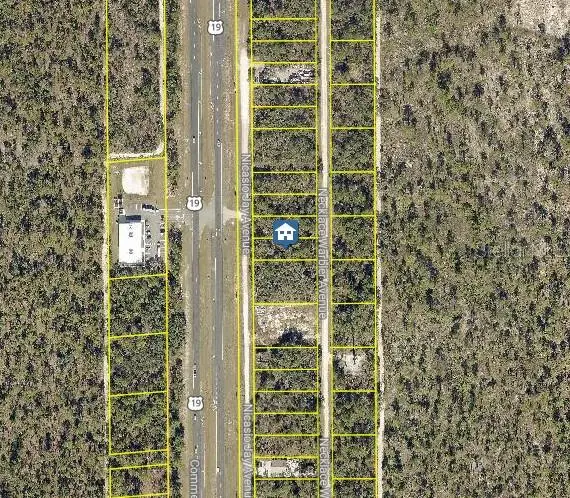 LOT 16 Necklace Warbler Avenue, Brooksville, FL 34614 - Image #2