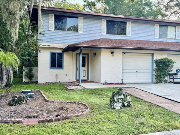 7 Moser Court N, HOMOSASSA, FL 34446
