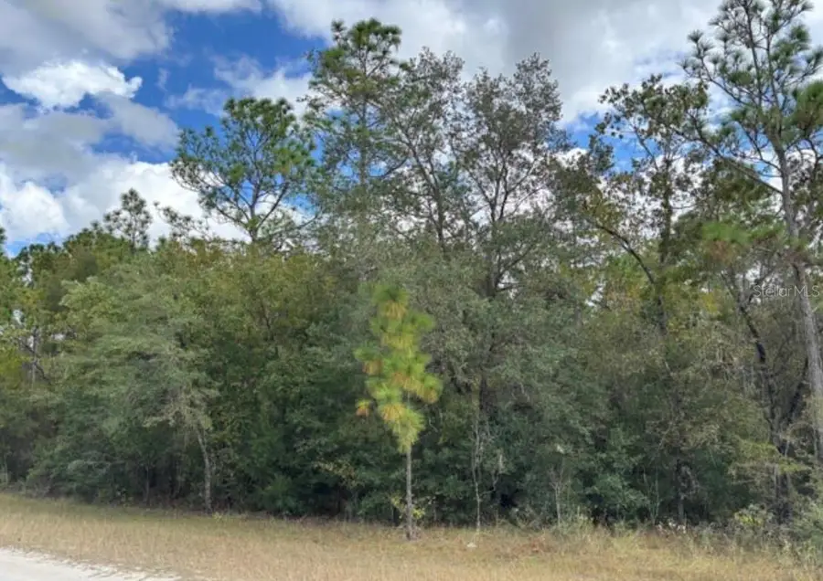 Lot 19 Canyon Swallow Road, Weeki Wachee, FL 34614 - Image #2