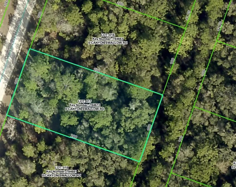 Lot 17 Canyon Swallow Road, Weeki Wachee, FL 34614 - Image #1