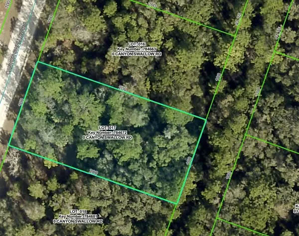 Lot 17 Canyon Swallow Road, WEEKI WACHEE, FL 34614