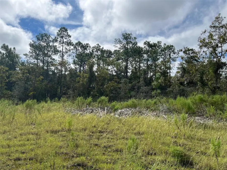 13154 Flaccus Court, Brooksville, FL 34613 - Image #2