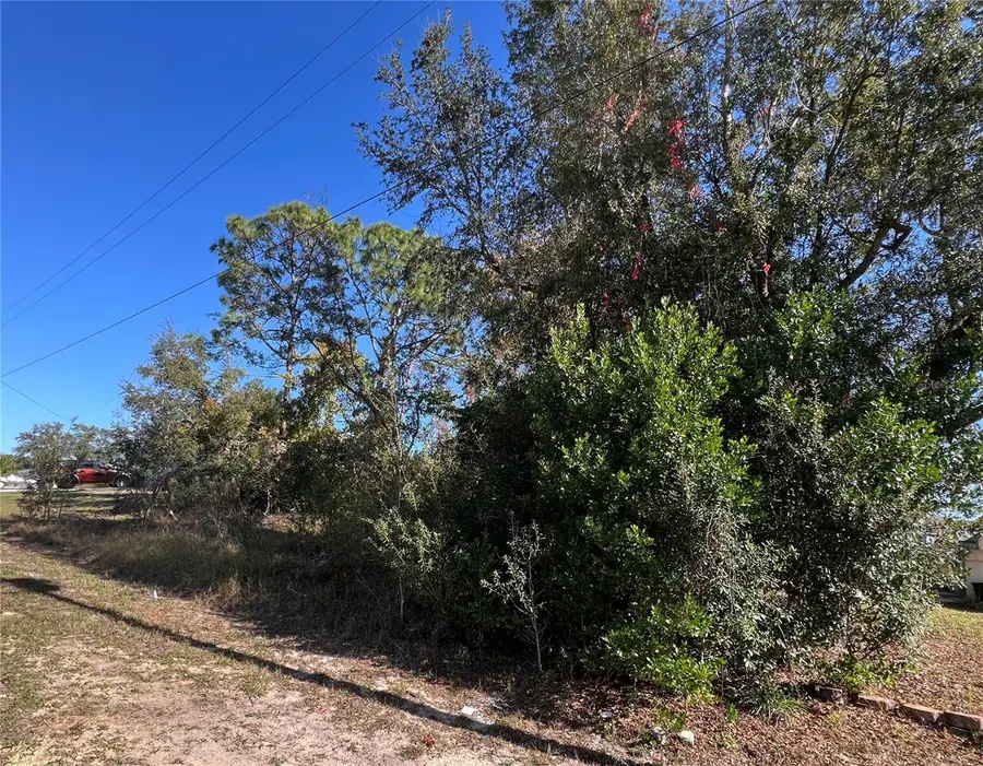 2460 Matheson Avenue, Spring Hill, FL 34608 - Image #2