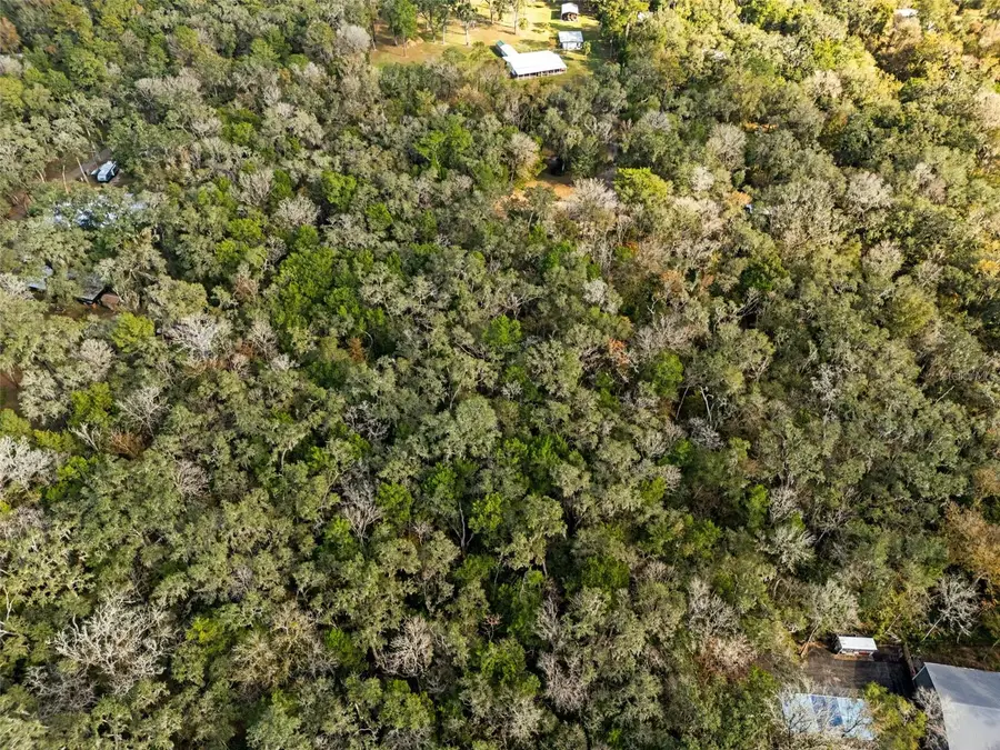 12047 Timber Lane, Brooksville, FL 34601 - Image #3