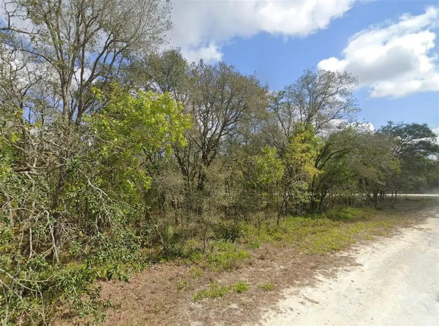 0 Grackle Road, Weeki Wachee, FL 34614 - Image #2