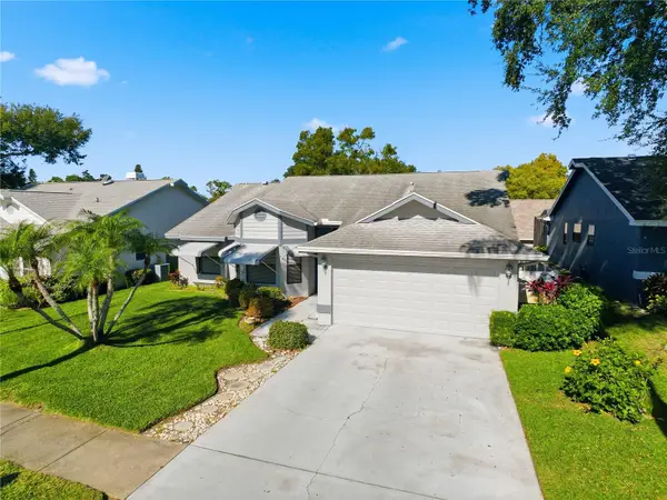 765 Saddlebrook Drive, TARPON SPRINGS, FL 34689