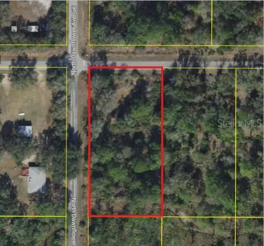 11798 W Cornflower Drive, Crystal River, FL 34428 - Image #2