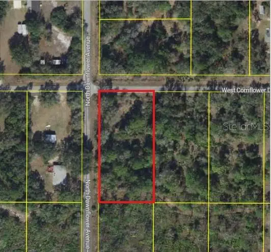 11798 W Cornflower Drive, Crystal River, FL 34428 - Image #3