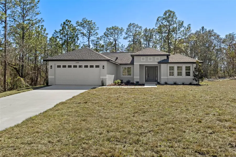 13088 Velvet Scoter Avenue, Brooksville, FL 34614 - Image #2