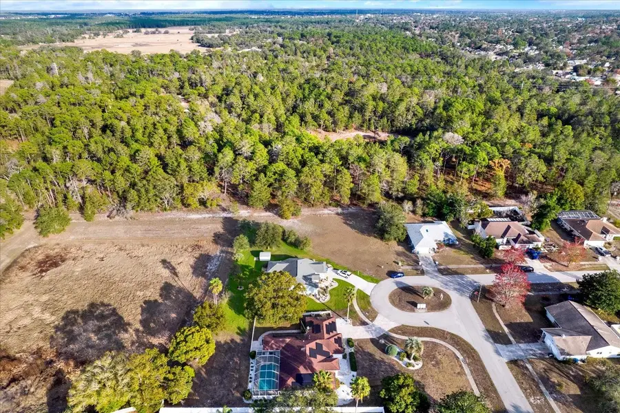 6118 Nardello Avenue, Spring Hill, FL 34608 - Image #2