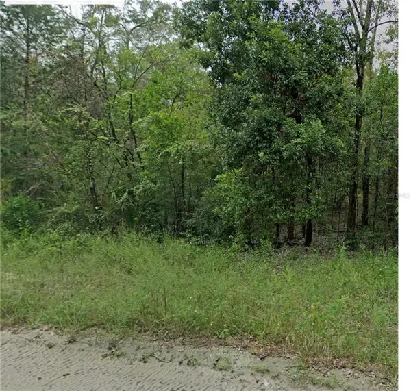 0 NE 160th Avenue, WILLISTON, FL 32696