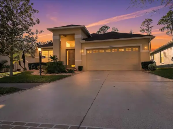18309 Rock Oak Court, HUDSON, FL 34667