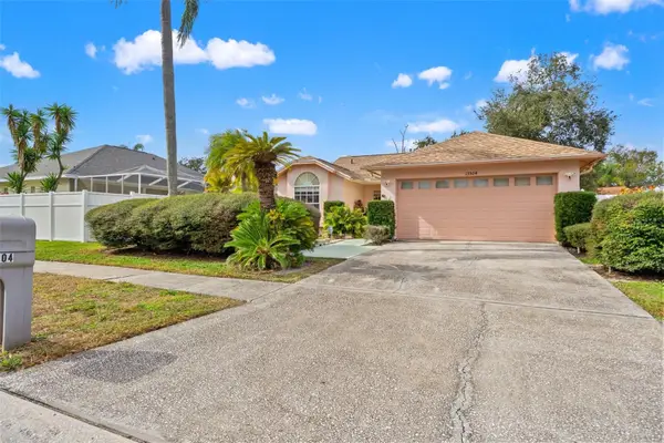 13504 Fawn Ridge Boulevard, TAMPA, FL 33626