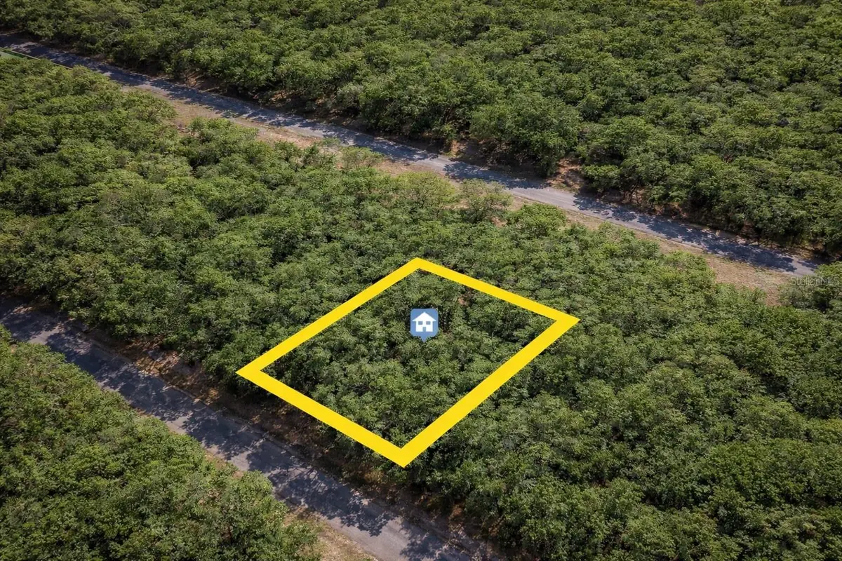 1628 E Badger Drive, Dunnellon, FL 34434 - Image #1