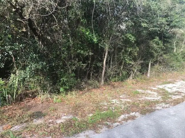 189 Candlewick Avenue, Spring Hill, FL 34608 - Image #1