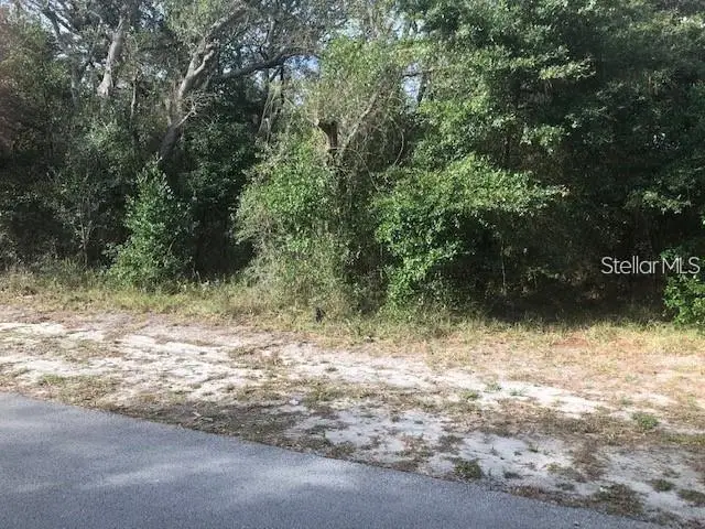 189 Candlewick Avenue, Spring Hill, FL 34608 - Image #2