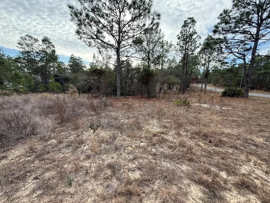 4143 W Dorchester Circle, Dunnellon, FL 34433 - Image #2