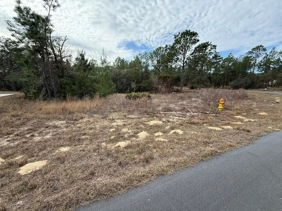 4143 W Dorchester Circle, Dunnellon, FL 34433 - Image #3