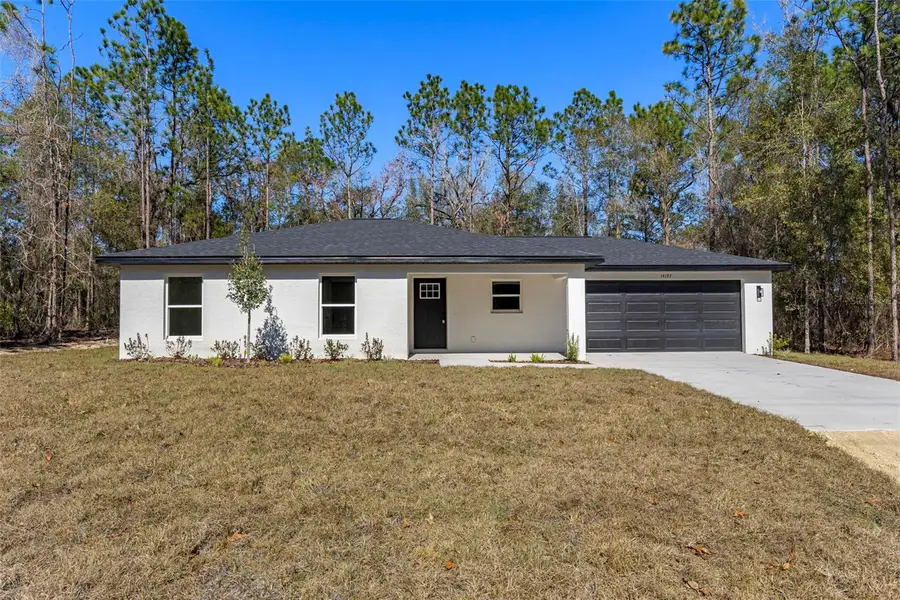 14197 Red Marlin Avenue, Brooksville, FL 34614 - #2