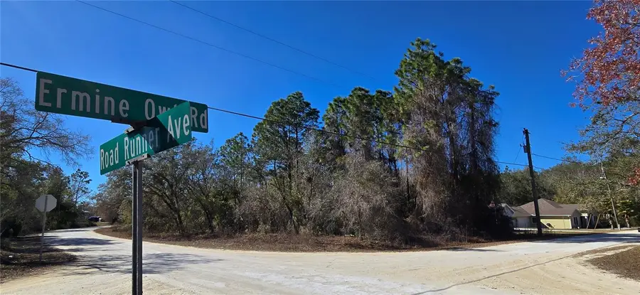 13231 Road Runner Avenue, Weeki Wachee, FL 34614 - Image #3