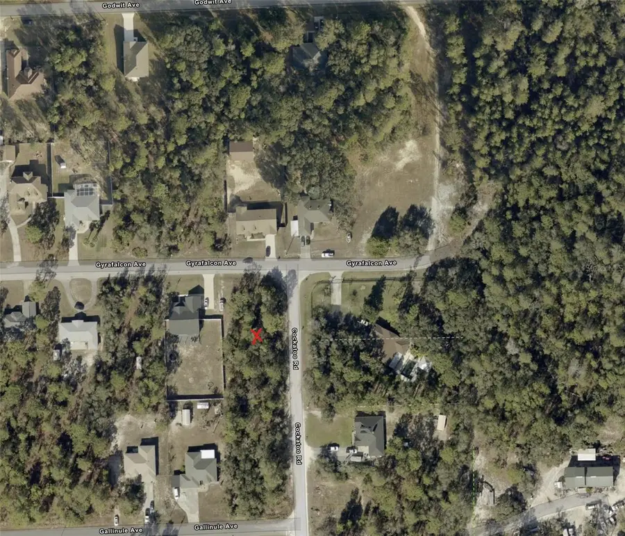 0 Gyrafalcon Avenue, Weeki Wachee, FL 34613 - #2
