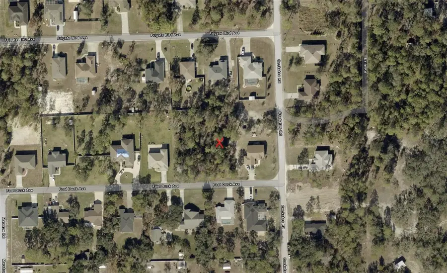 0 Fool Duck Avenue, Weeki Wachee, FL 34613 - #3