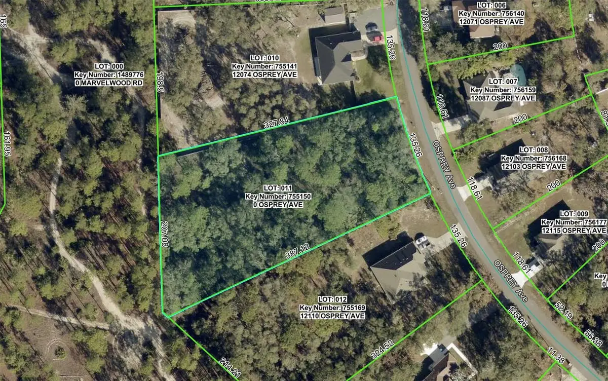 12090 Osprey Avenue, Weeki Wachee, FL 34614 - #1