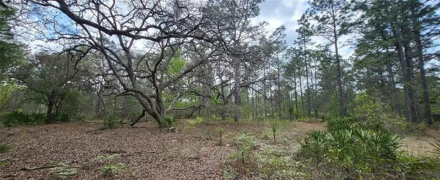 12090 Osprey Avenue, Weeki Wachee, FL 34614 - #3