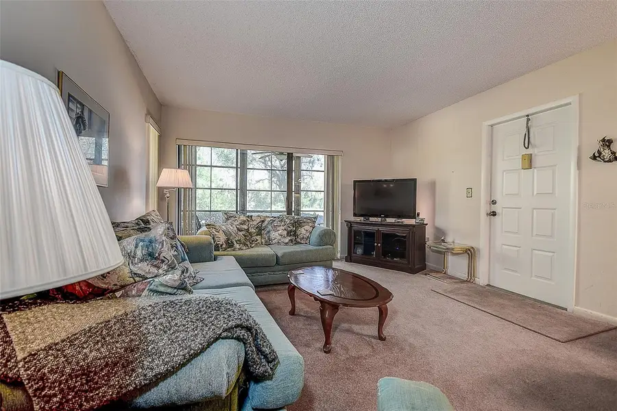 3125 Lake Pine Way #B1, Tarpon Springs, FL 34688 - Image #2