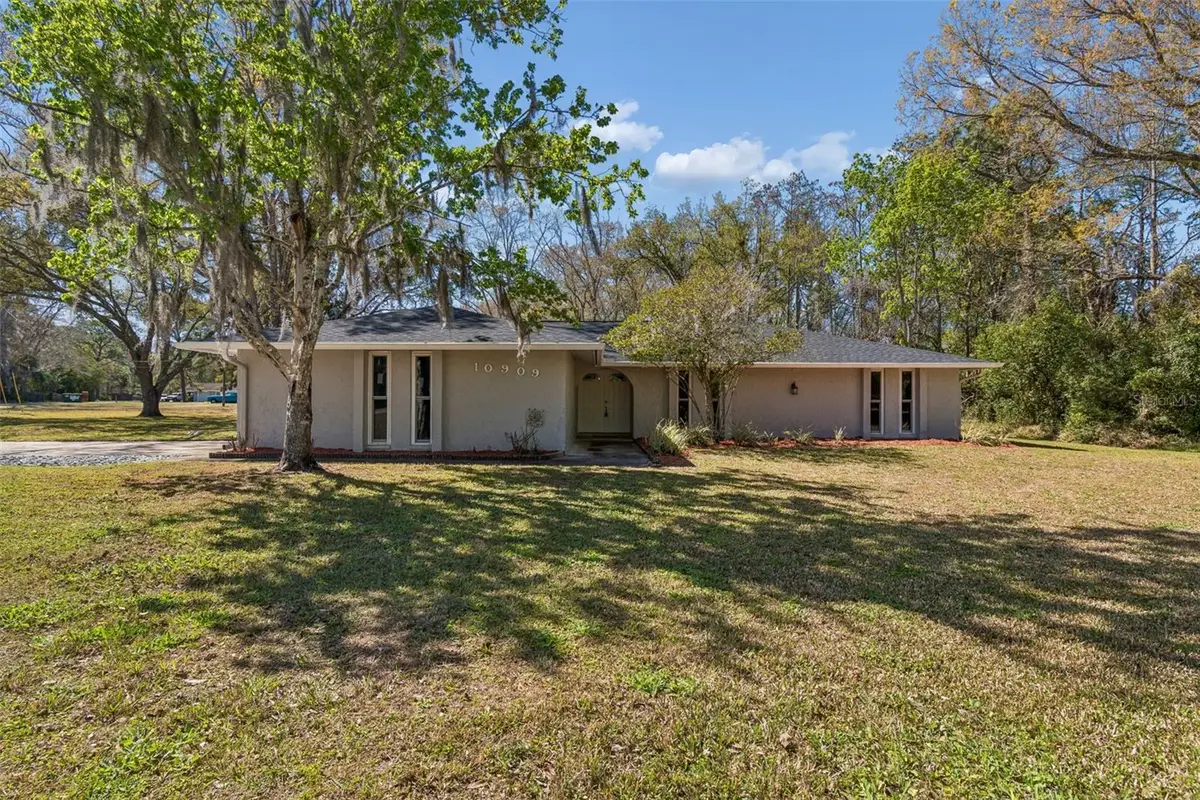 10909 Candy Lane, New Port Richey, FL 34654 - #1