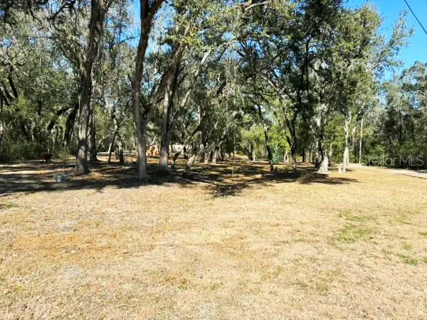 16347 Albright Road, Spring Hill, FL 34610 - #3