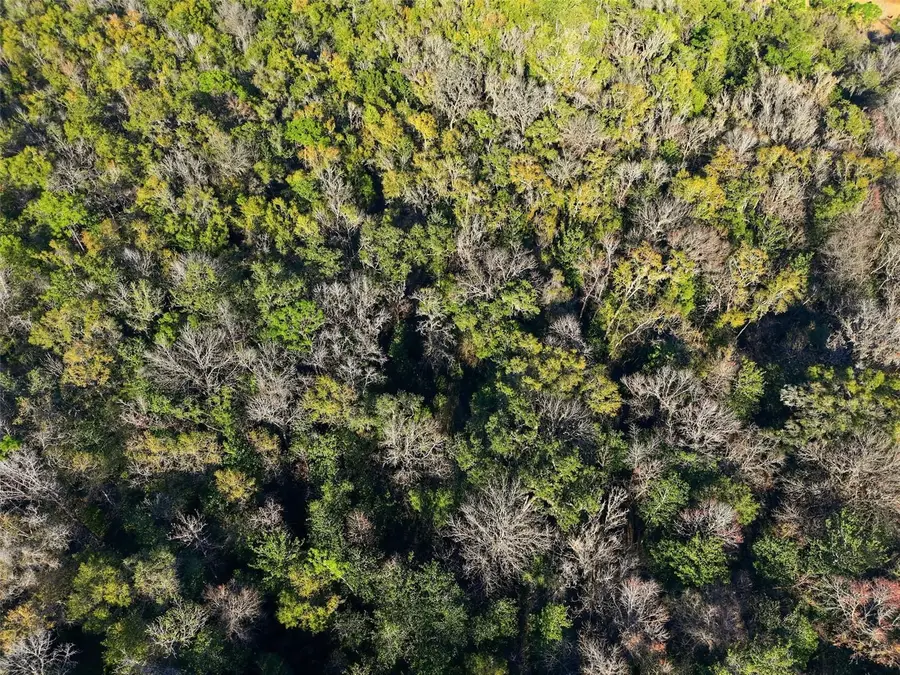 0 Thompson Loop, Brooksville, FL 34614 - Image #3