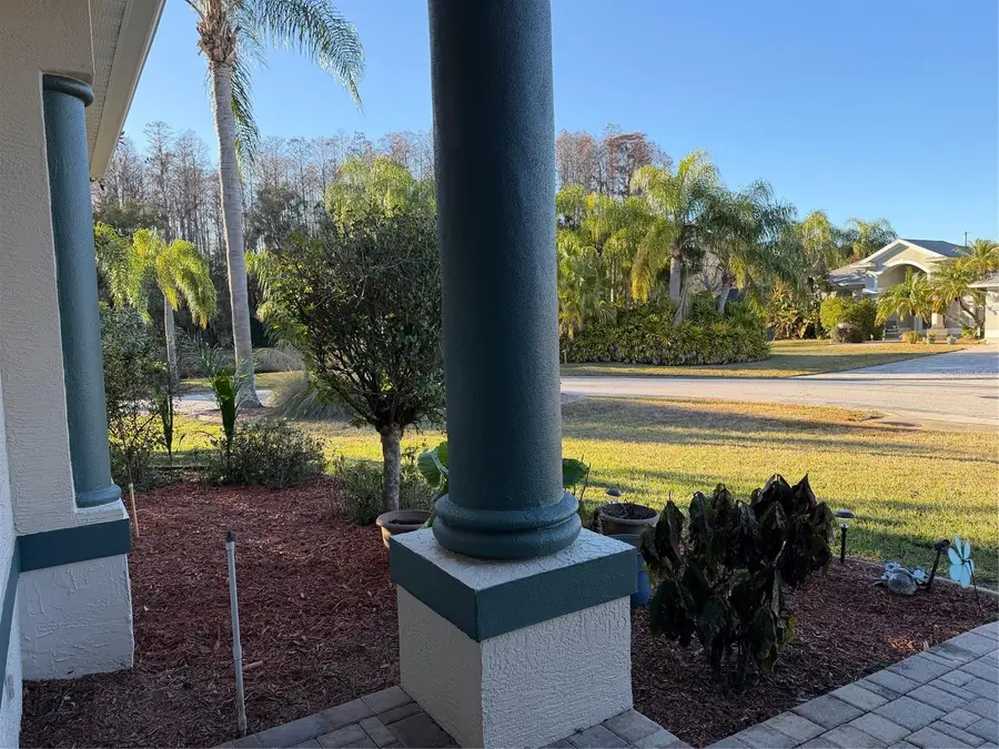 2424 Dekan Lane, Land O Lakes, FL 34639 - #2