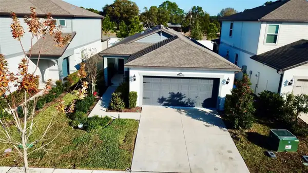 20873 Drake Elm Drive, LAND O LAKES, FL 34638