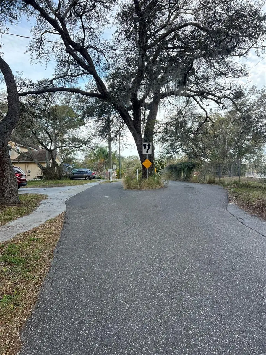 Forde Avenue, Tarpon Springs, FL 34689 - #2