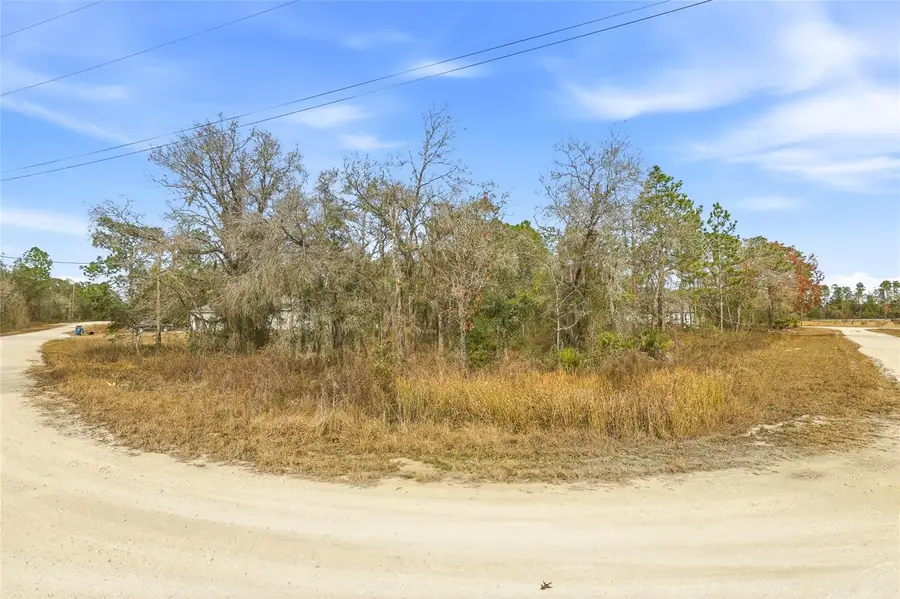 16364 Cayman Road, Brooksville, FL 34614 - Image #3