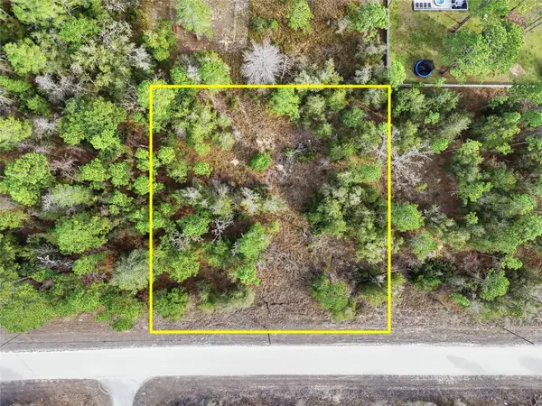 Chimney Swift Road, WEEKI WACHEE, FL 34614