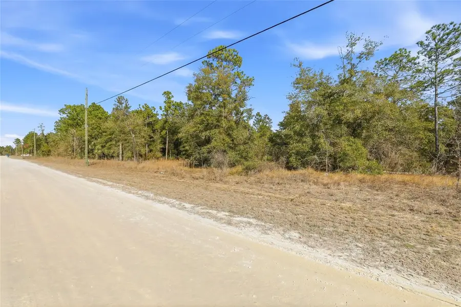 Chimney Swift Road, Weeki Wachee, FL 34614 - Image #3