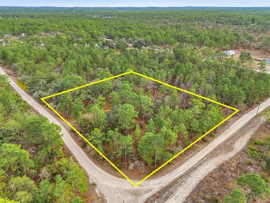 11388 Thames Avenue, Brooksville, FL 34614 - Image #3