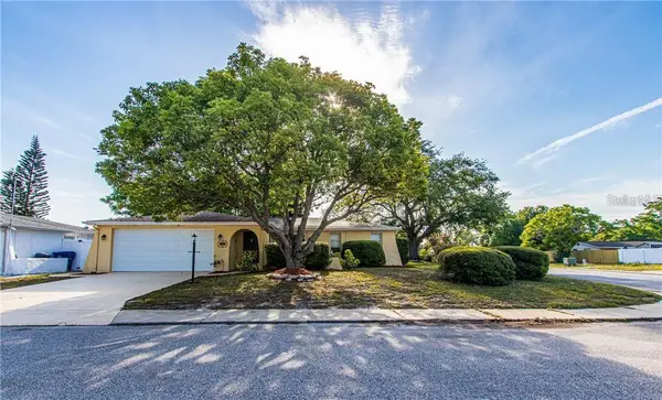 8900 Lido Lane, PORT RICHEY, FL 34668